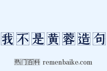 我不是黄蓉造句是什么意思的图片